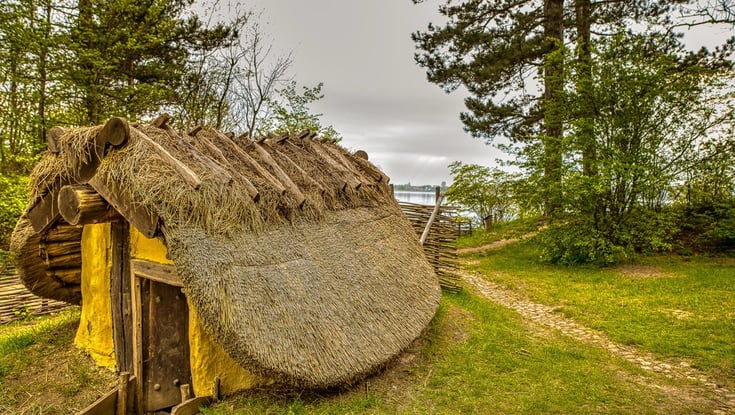 Small rustic hut with a thatched roof in a natural setting.