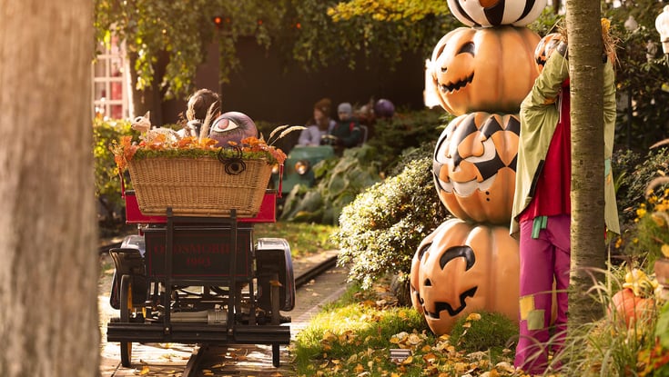 Halloween pumpkins in Tivoli