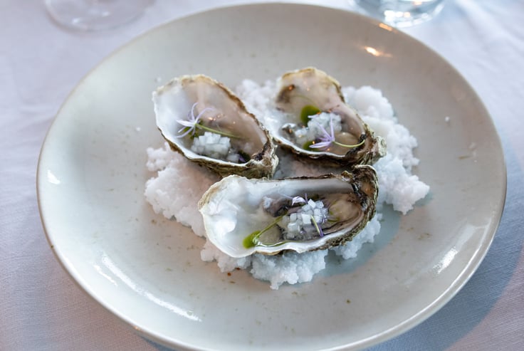 Oysters on a plate