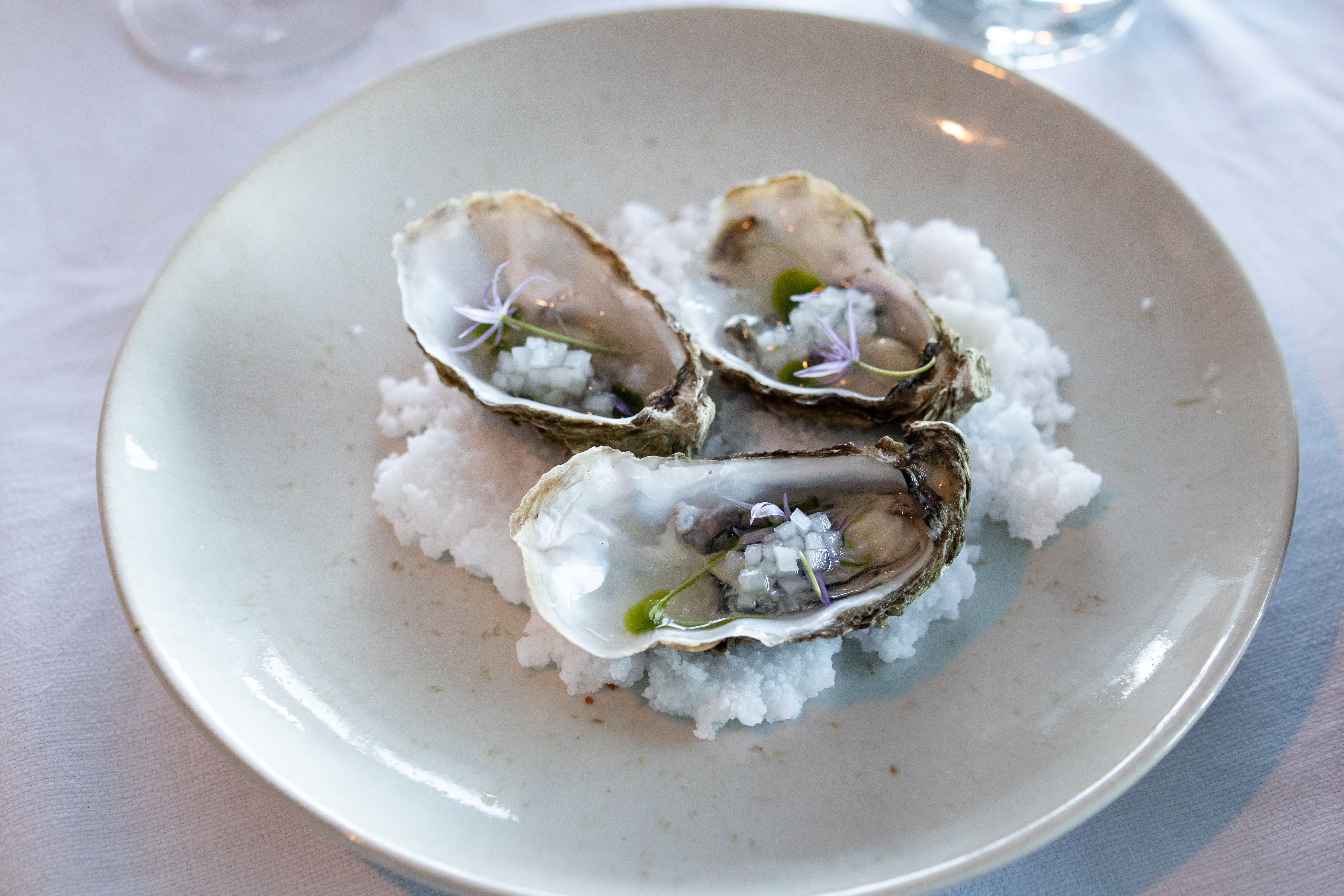 Oysters on a plate